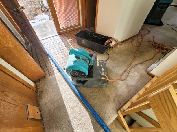 Best Residential water damage restoration  in Carencro, LA