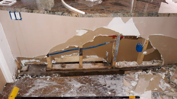Best Professional water damage repair  in Carencro, LA
