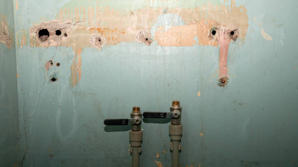 Best Fire Damage Restoration  in Carencro, LA