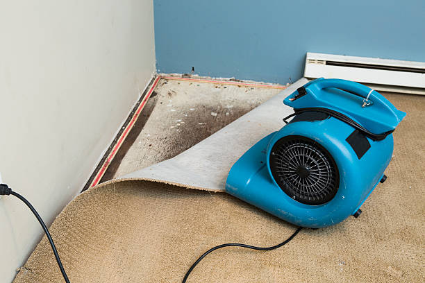 Best Ceiling water damage repair  in Carencro, LA